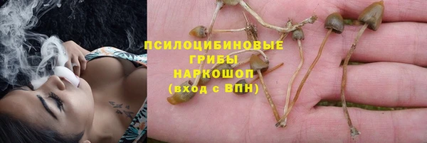 дмт Алзамай